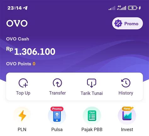 customer puas sehingga saldo nambah apk domino mod promo 58 diskon saldo OVO image 5