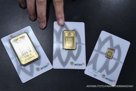 bongkar chip Profesional 47 Ringan gold hour hari ini tanpa kedaluwarsa image 1